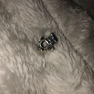 Pandora charm